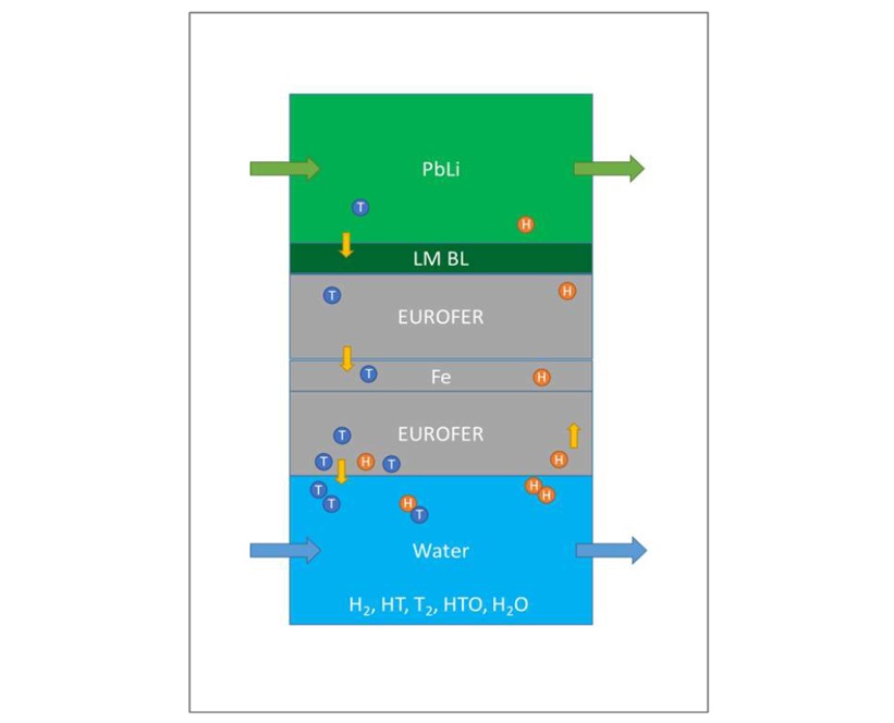 EcosimPro model of tritium (T) and hydrogen (H) transport pathway in a breeder unit, part of a TBM. Lithium lead (PbLi) is cooled down by pressurised water contained in a EUROFER-iron-EUROFER pipe structure. LM BL stands for “Liquid Metal Boundary Layer”, a very thin layer of fluid surrounding the EUROFER pipe surface. 